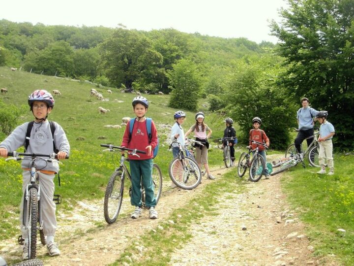 Classe nature : une sortie scolaire très avantageux