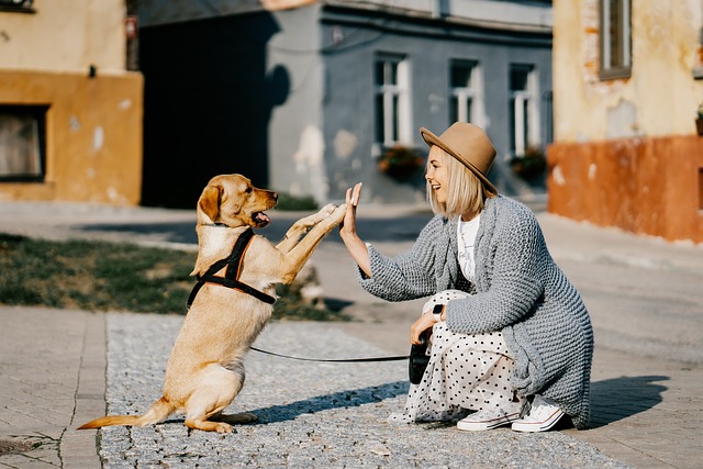 un chien heureux